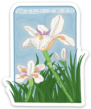 Wild Iris Sticker