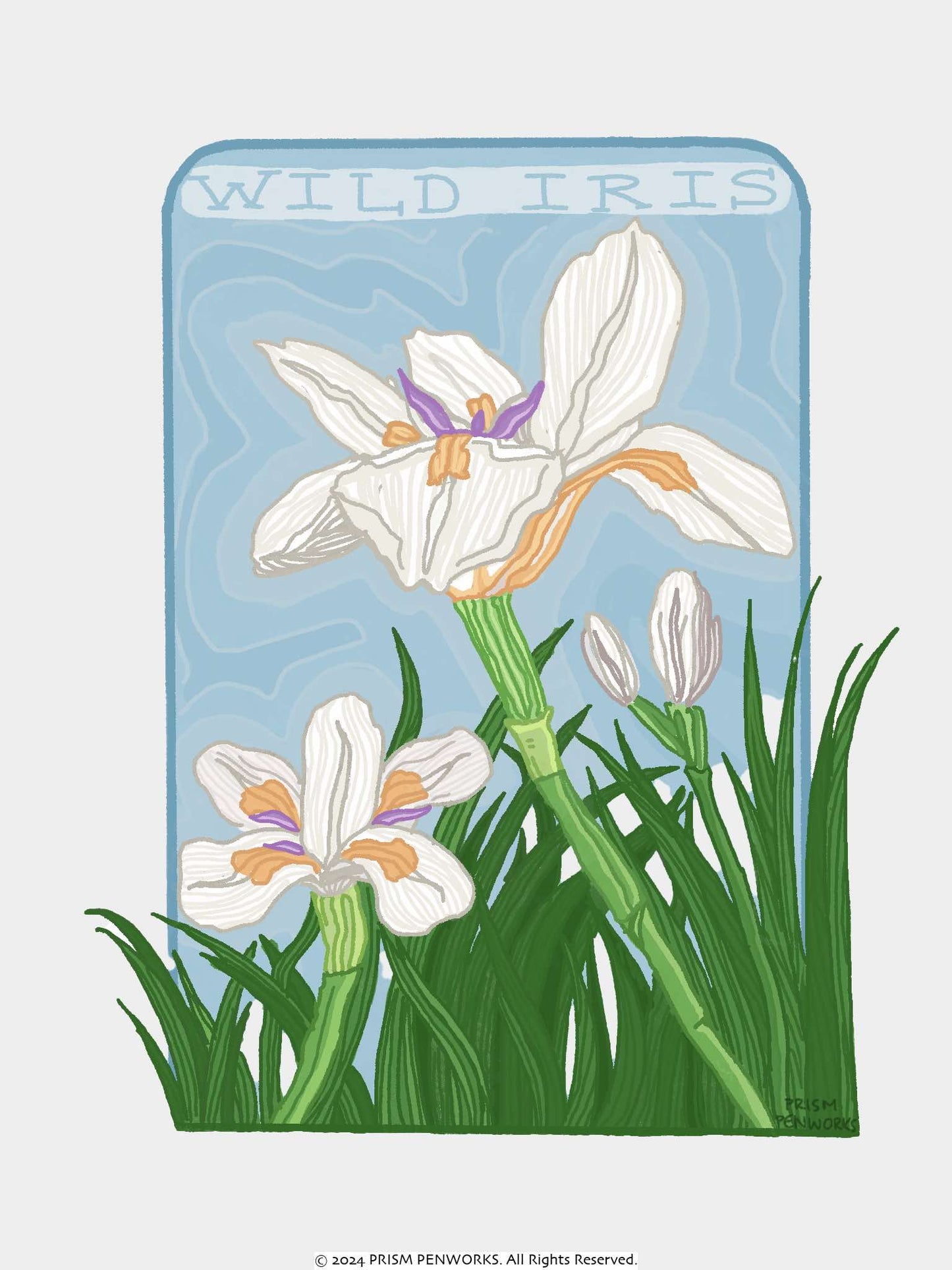 Wild Iris Sticker